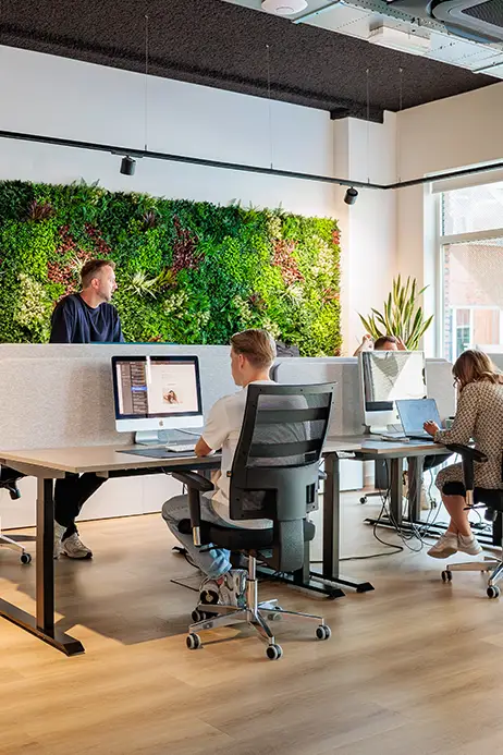 e mailmarketing ineto